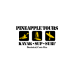 Pineapple Tours